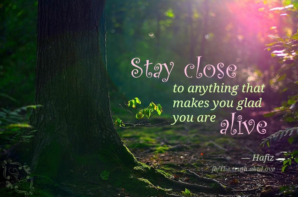 stay close stay close