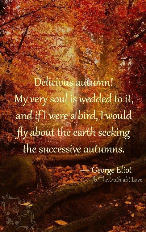 Delicious autumn Delicious autumn