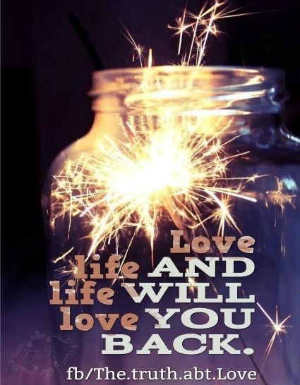 love life love life