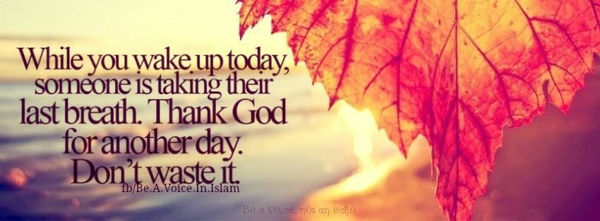 Don't waste it Don't waste it
