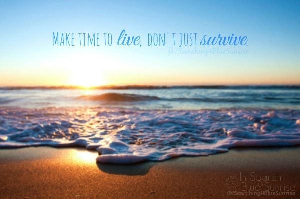 dont just survive dont just survive