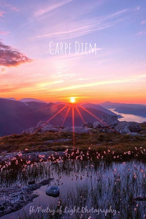 Cease the day Cease the day