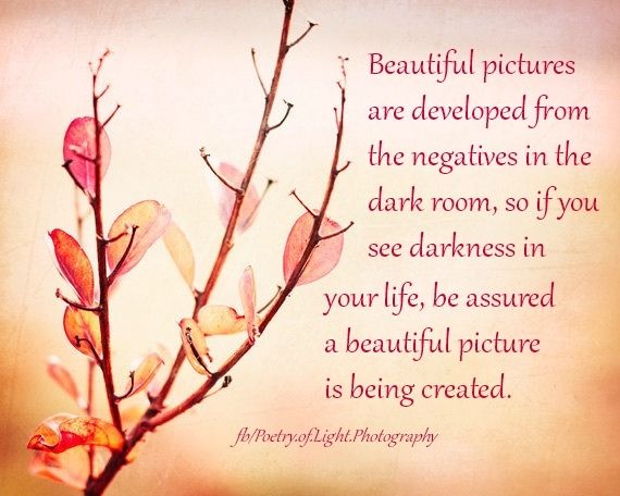 Beautiful pictures