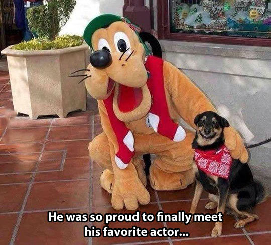Dog best friend arrives