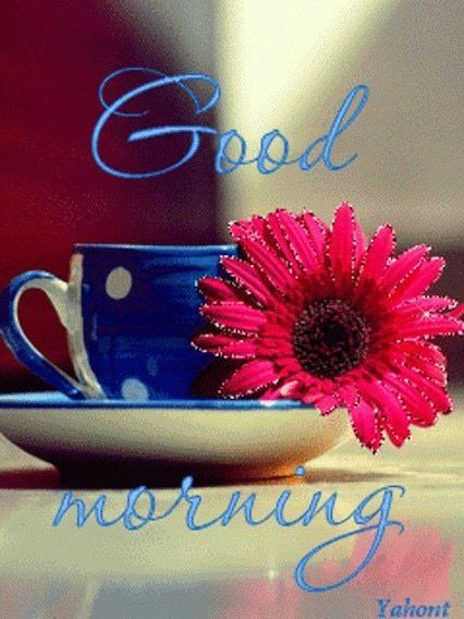 Good Morning