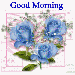Good Morning Good Morning