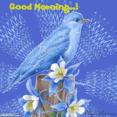 Good Morning Good Morning