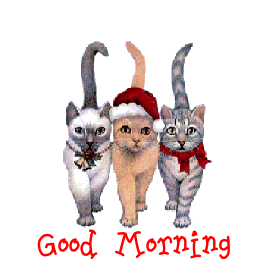 Good Morning Good Morning