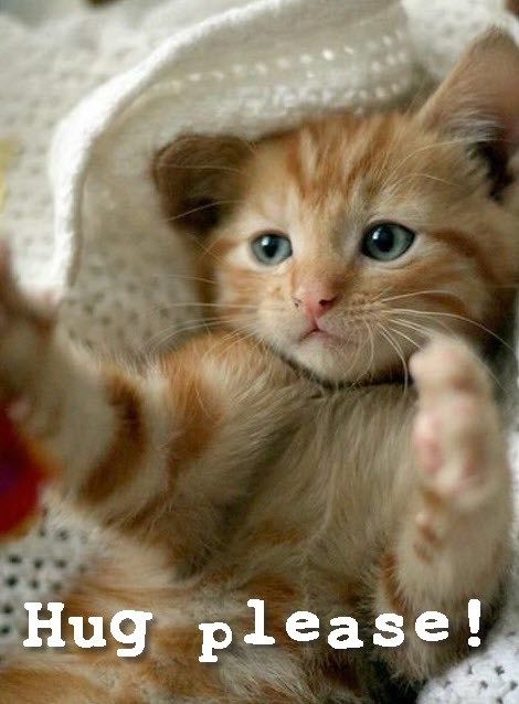 Hug Please