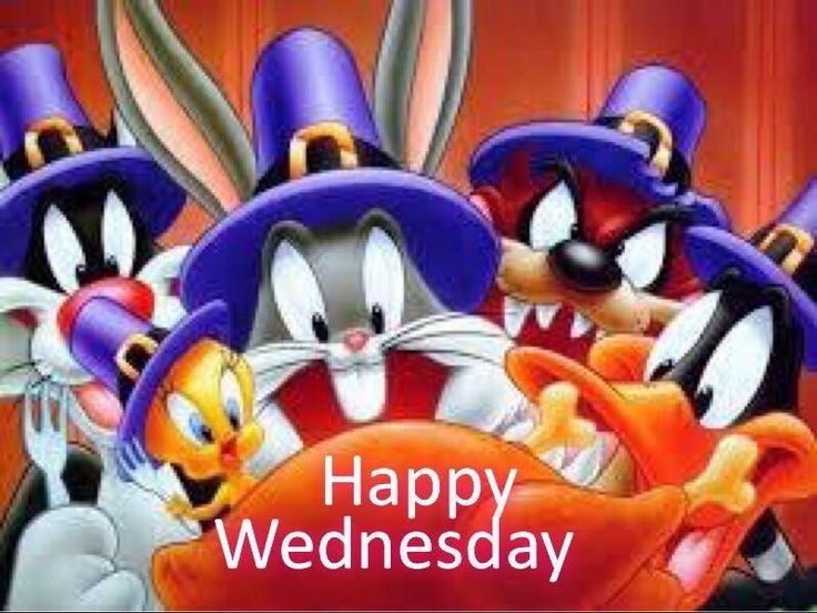 Happy Wednesday Happy Wednesday