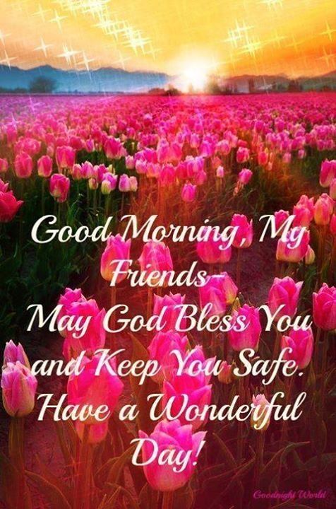 Good Morning My Friends....