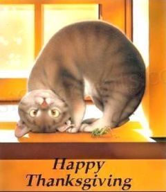 Happy Thanksgiving Happy Thanksgiving