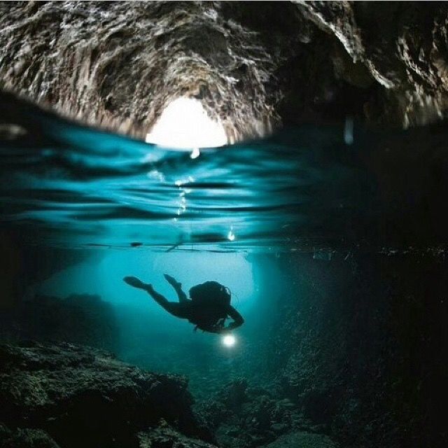 Discover