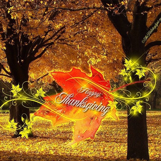 Pretty Thanksgiving Leaf Pretty Thanksgiving Leaf