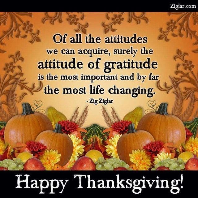 Gratitude Gratitude