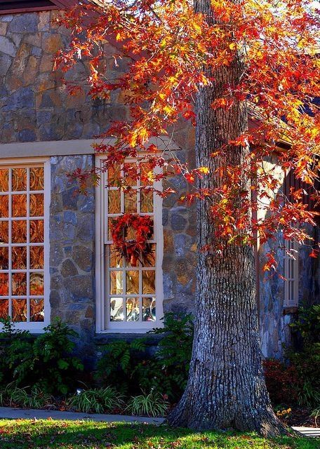 Home on Thanksgiving Home on Thanksgiving