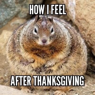 How I feel After Thanksgiving