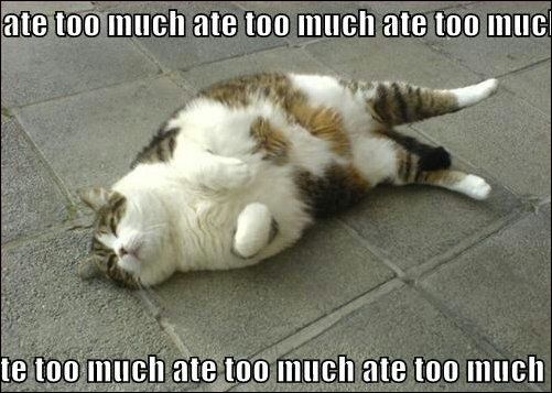 I ate to much I ate to much