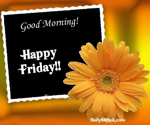 Good Morning Happy Friday