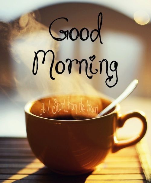 Good Morning