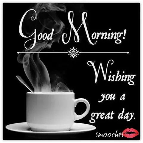 Good Morning Good Morning