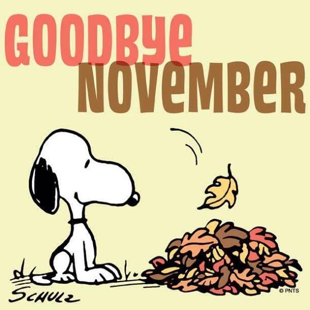 Goodbye Novemeber Goodbye Novemeber