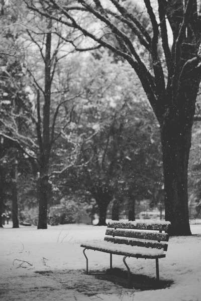 Winter day