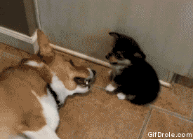 What's That Smell