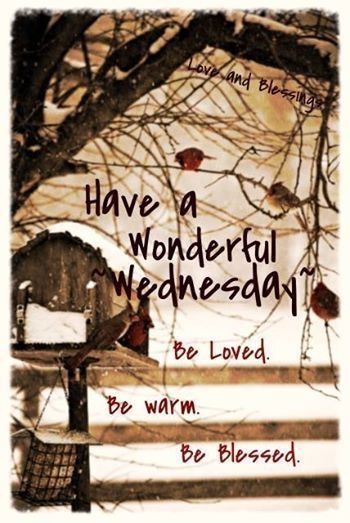 Have a wonderful Wednesday Have a wonderful Wednesday