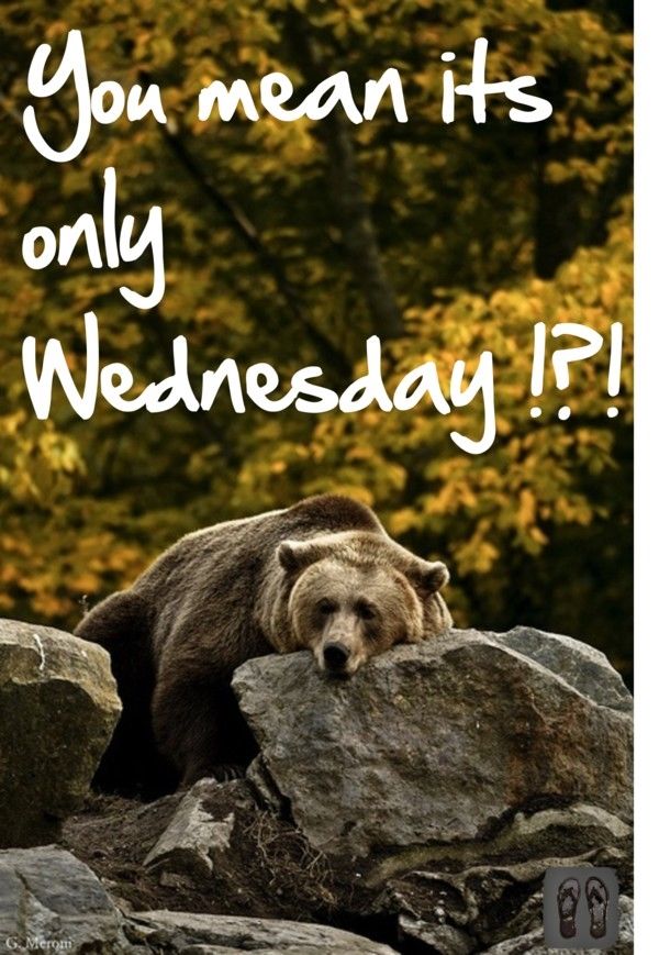 You Mean It's Only Wednesday You Mean It's Only Wednesday