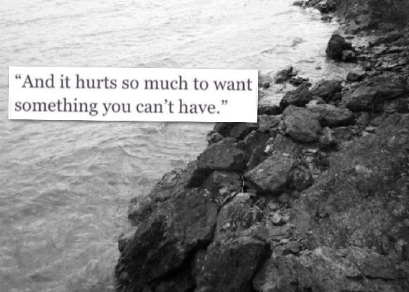 something you can't have something you can't have