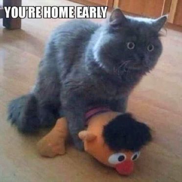 you're home early