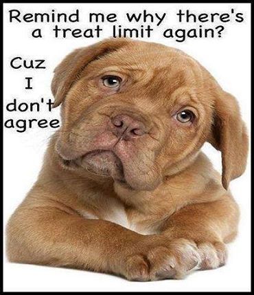 treat limit