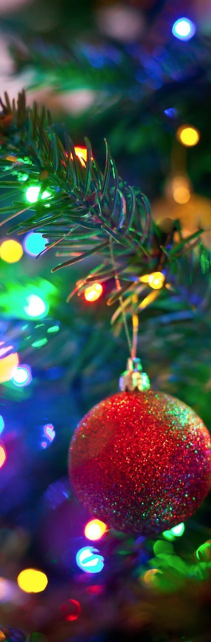 Colorful Christmas Colorful Christmas