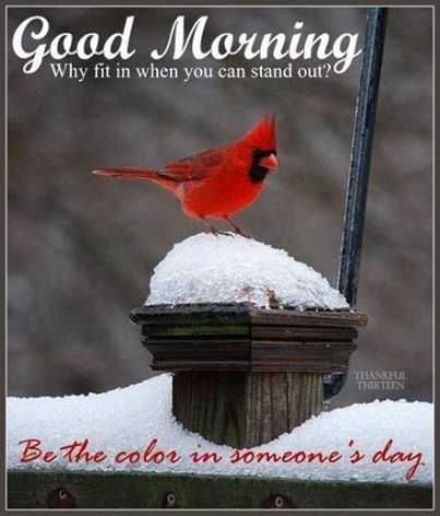 Good Morning Stand Out Good Morning Stand Out