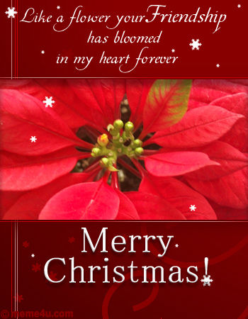 Merry Christmas Merry Christmas