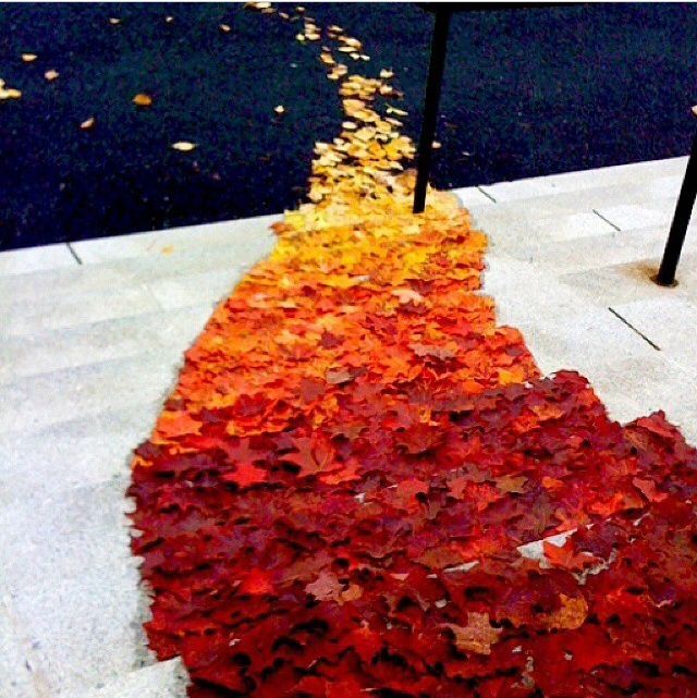 Follow the Path Follow the Path