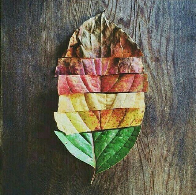 the Leaves of Fall the Leaves of Fall
