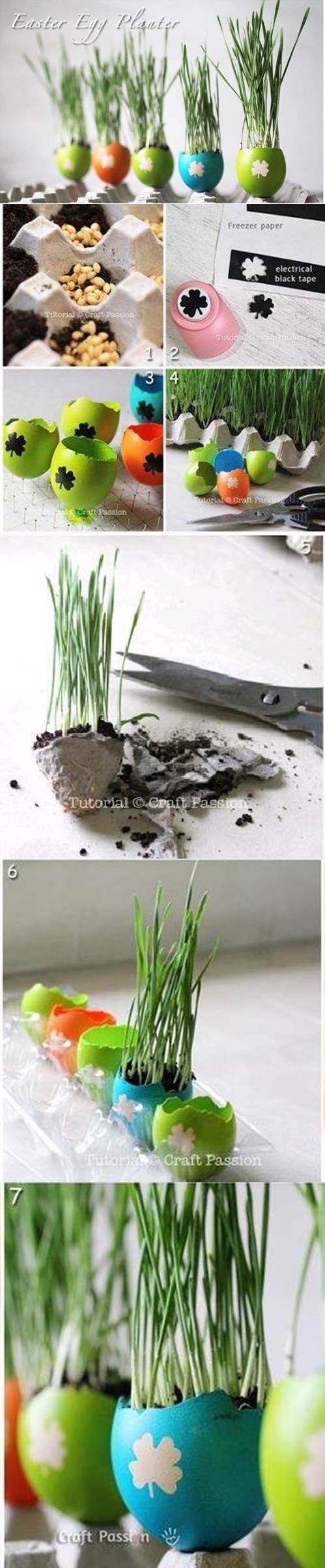 How to make an eggshell planters