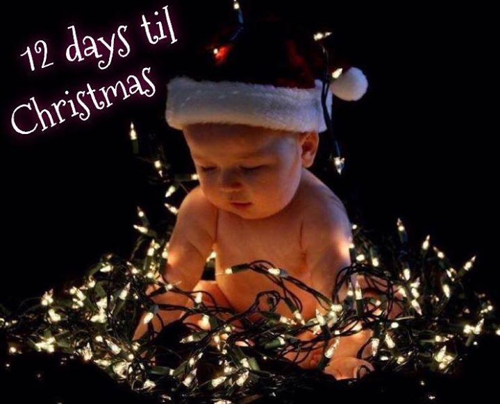 12 days til Christmas 12 days til Christmas