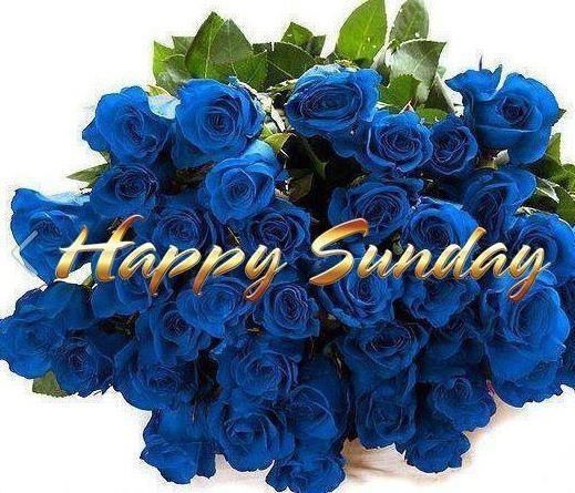 Happy Sunday
