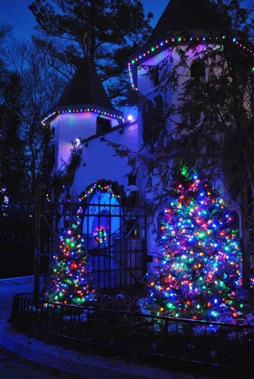 Pretty Christmas Lights
