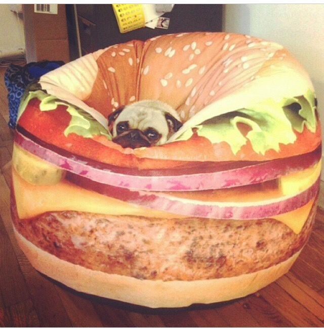 Doggy Hamburger