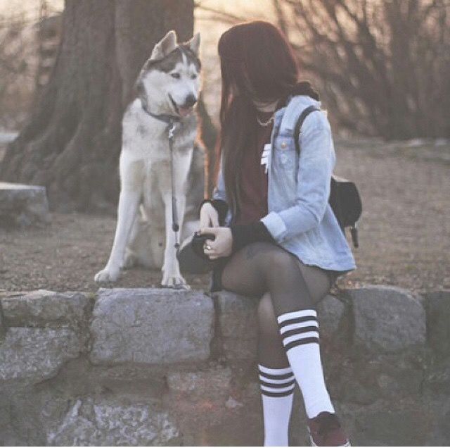 Dogs and Fashion