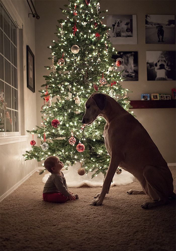 Checking Each Other Out... Checking Each Other Out...