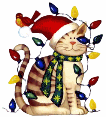 Kitty Decorated with String of Lights
