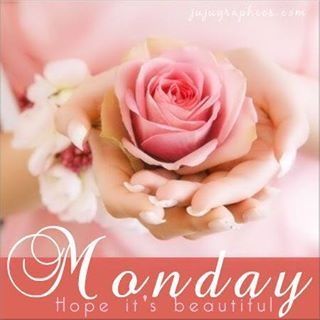 Monday Hope It's Beautiful