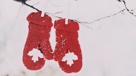 Red Mittens Hanging in the Snow Red Mittens Hanging in the Snow