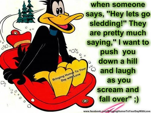 Let's go sledding