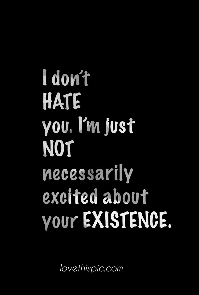 I don't hate you